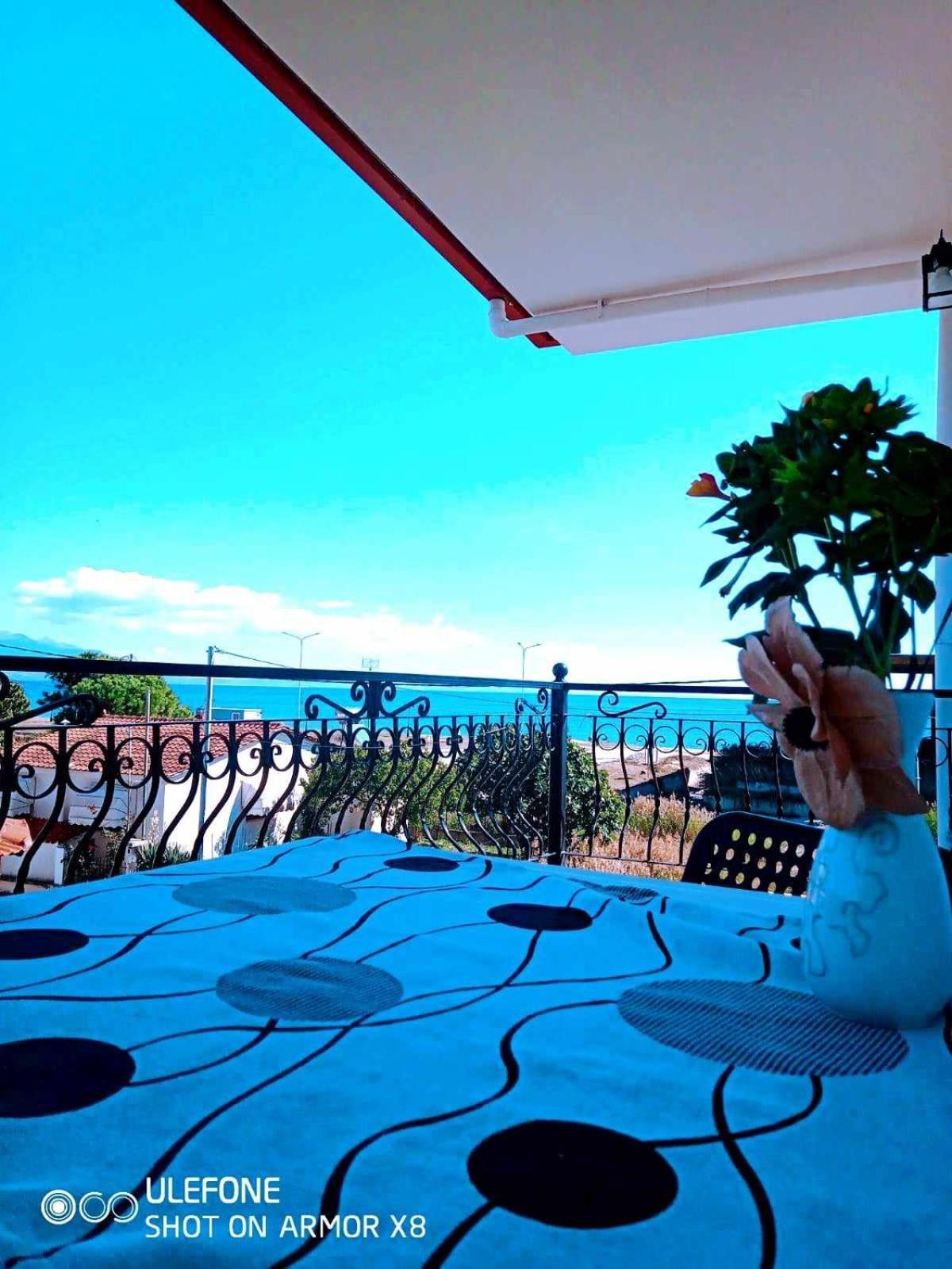 Villa Camellia Vrasná Dış mekan fotoğraf